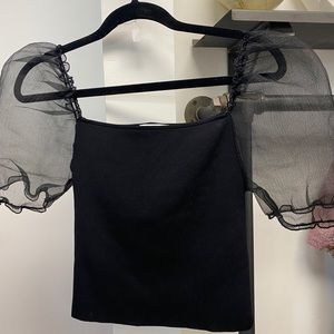 Zara Mesh Push Sleeve Top